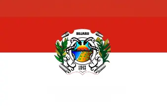 Bandeira Bujaru